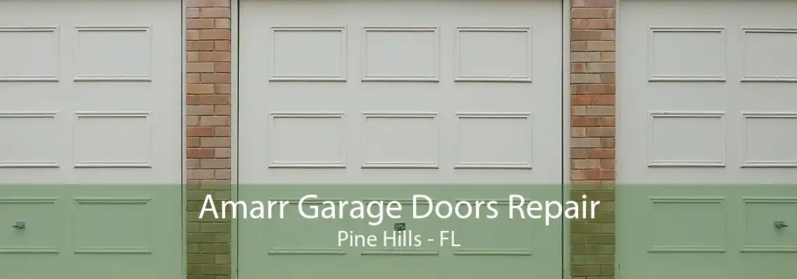 Amarr Garage Doors Repair Pine Hills - FL