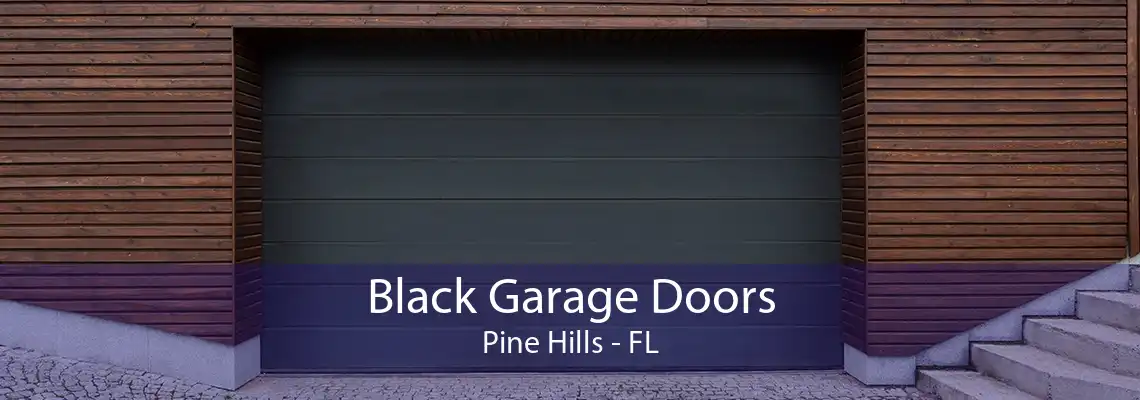 Black Garage Doors Pine Hills - FL