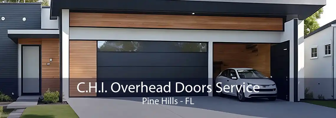 C.H.I. Overhead Doors Service Pine Hills - FL