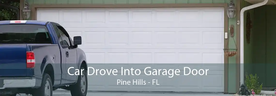 Car Drove Into Garage Door Pine Hills - FL