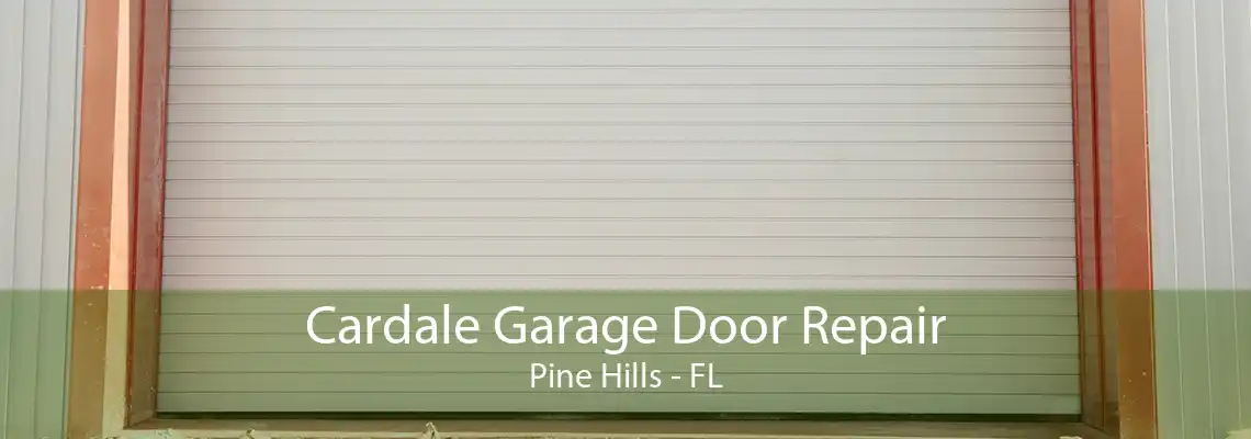 Cardale Garage Door Repair Pine Hills - FL