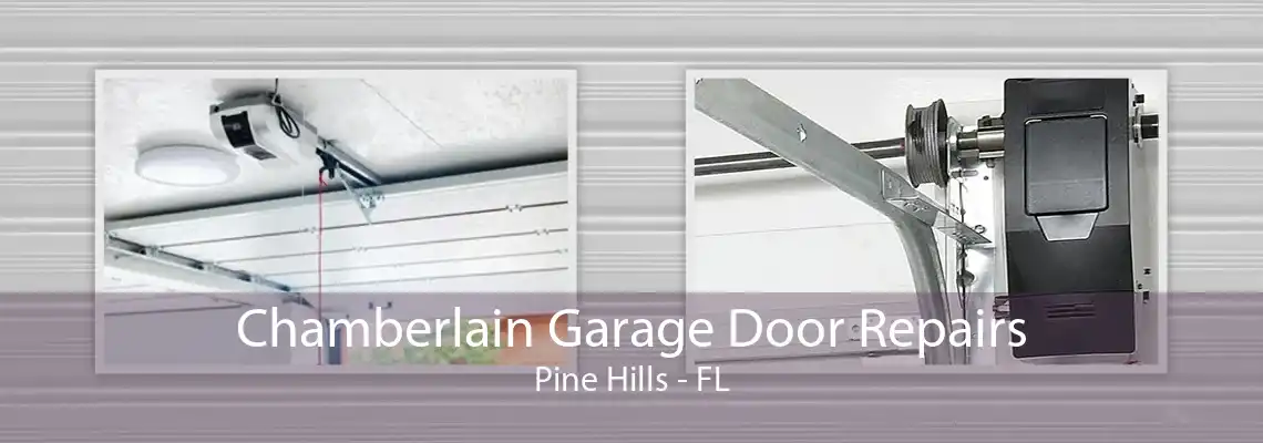 Chamberlain Garage Door Repairs Pine Hills - FL