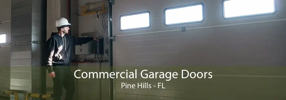 Commercial Garage Doors Pine Hills - FL