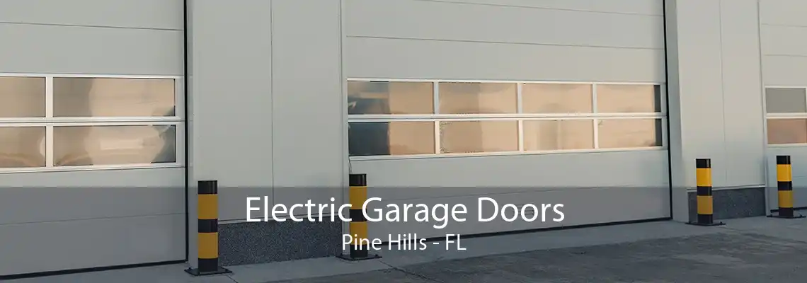 Electric Garage Doors Pine Hills - FL