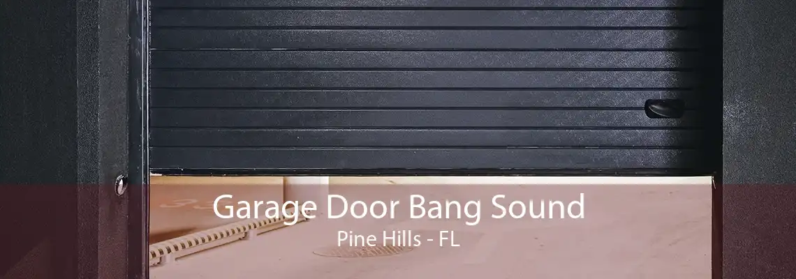 Garage Door Bang Sound Pine Hills - FL