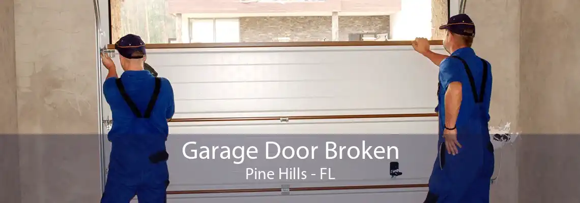 Garage Door Broken Pine Hills - FL