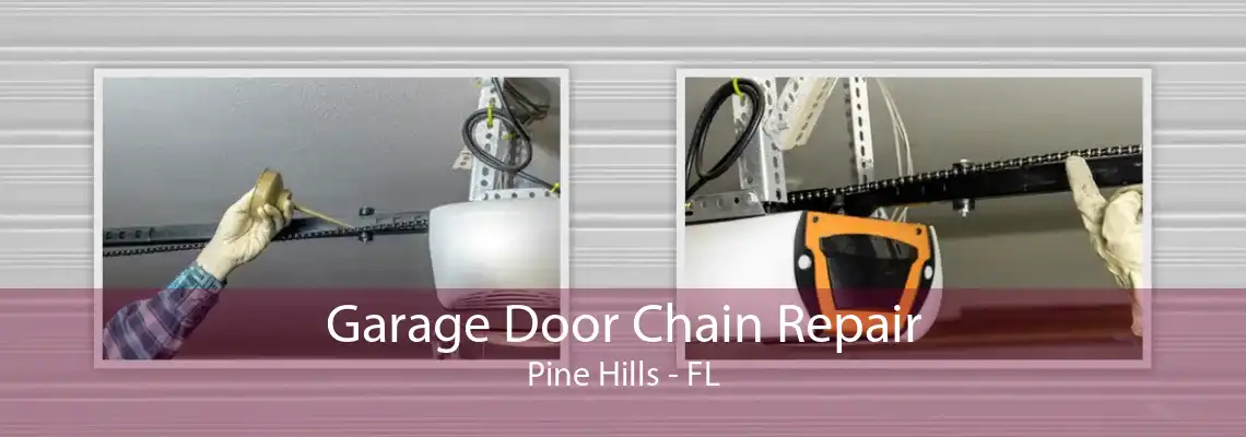 Garage Door Chain Repair Pine Hills - FL