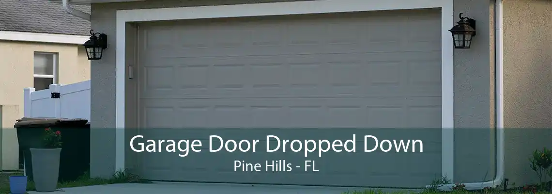 Garage Door Dropped Down Pine Hills - FL