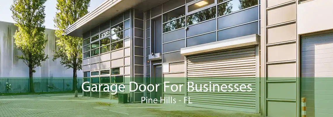 Garage Door For Businesses Pine Hills - FL