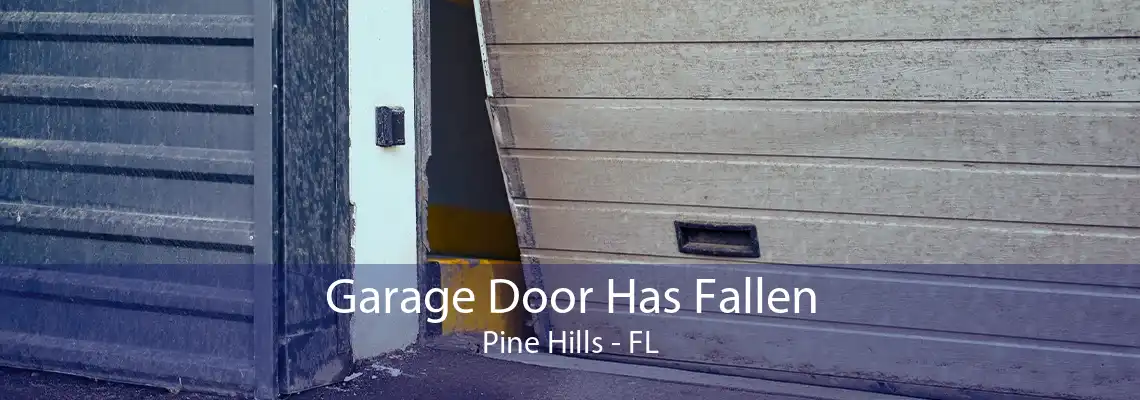 Garage Door Has Fallen Pine Hills - FL