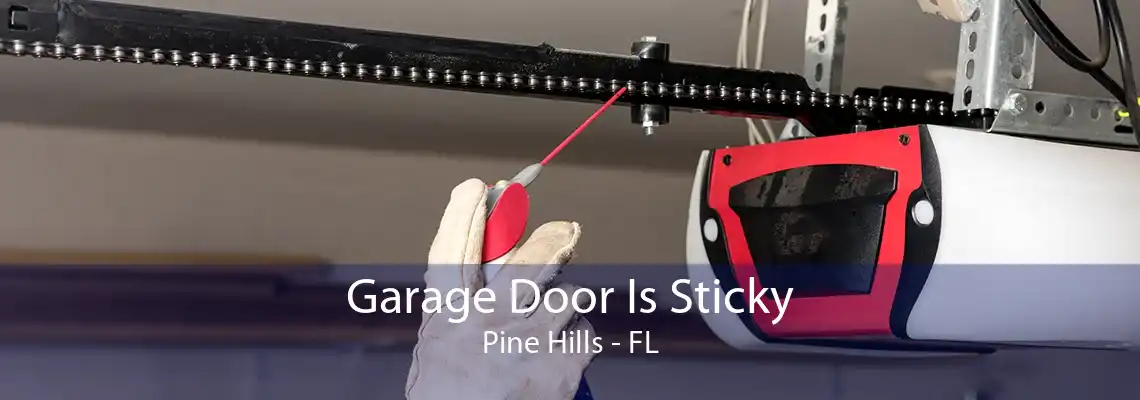 Garage Door Is Sticky Pine Hills - FL