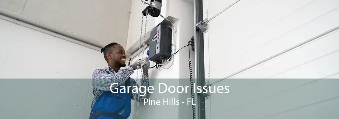 Garage Door Issues Pine Hills - FL