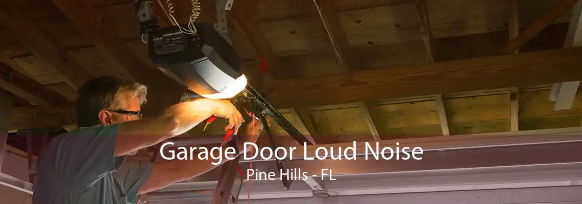 Garage Door Loud Noise Pine Hills - FL