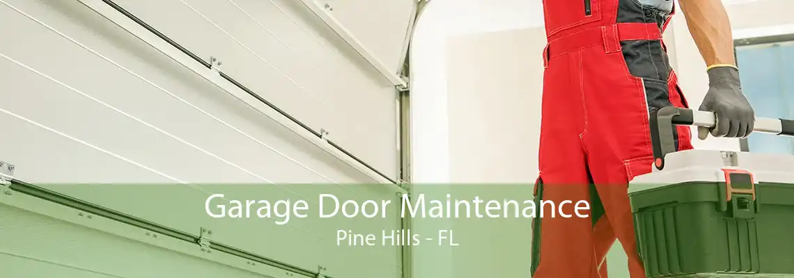 Garage Door Maintenance Pine Hills - FL