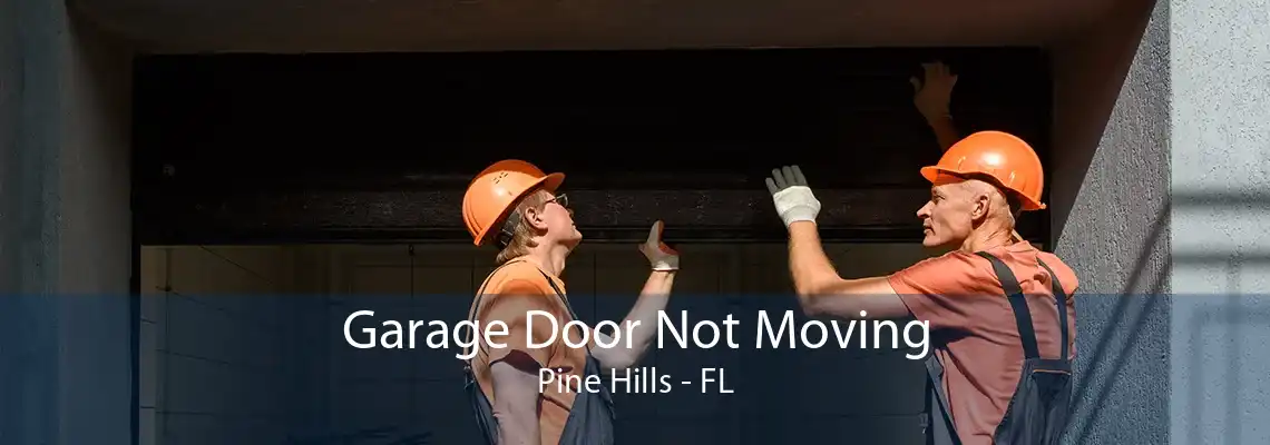 Garage Door Not Moving Pine Hills - FL