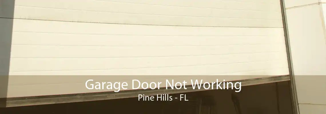 Garage Door Not Working Pine Hills - FL