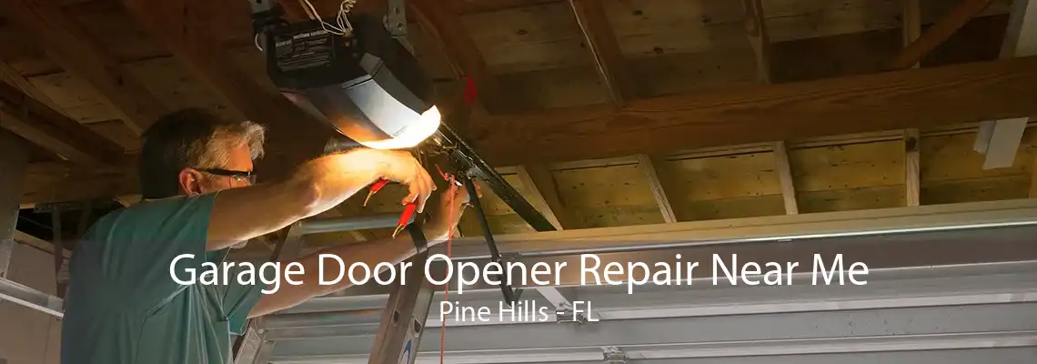 Garage Door Opener Repair Near Me Pine Hills - FL