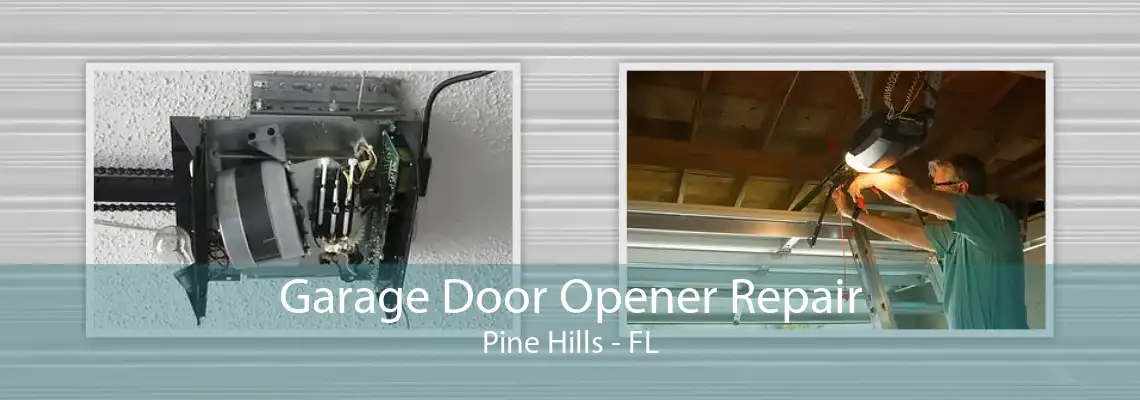 Garage Door Opener Repair Pine Hills - FL