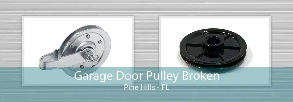 Garage Door Pulley Broken Pine Hills - FL