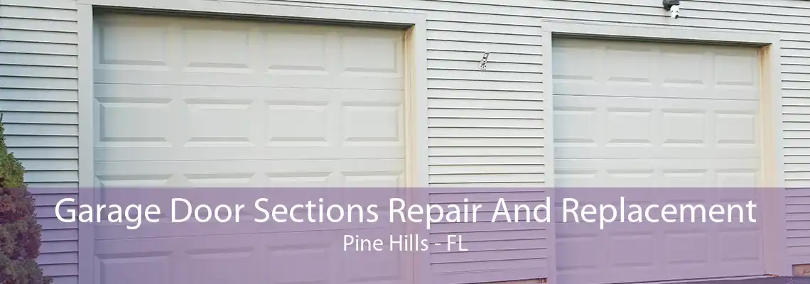 Garage Door Sections Repair And Replacement Pine Hills - FL