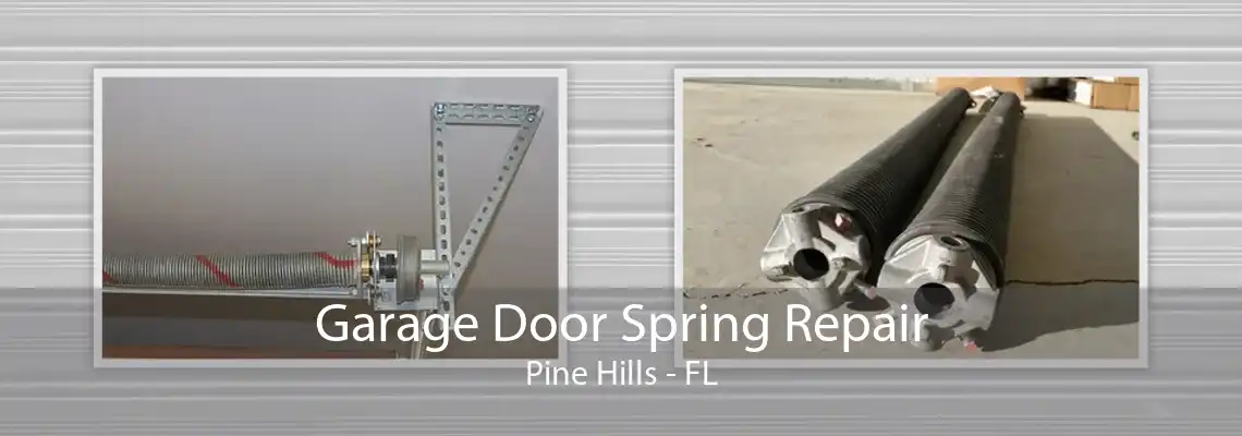 Garage Door Spring Repair Pine Hills - FL