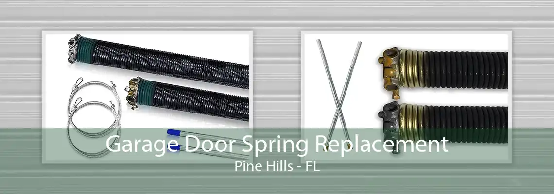 Garage Door Spring Replacement Pine Hills - FL