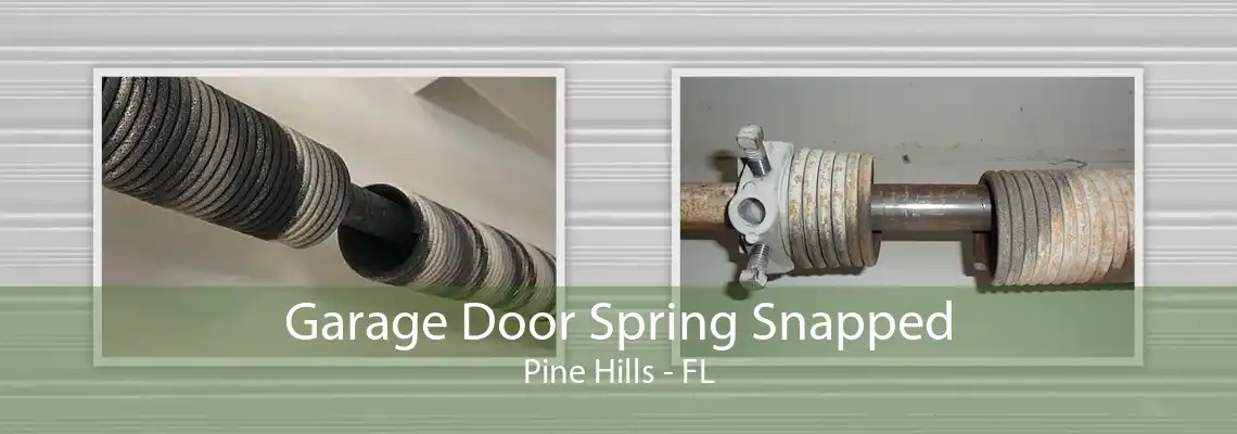 Garage Door Spring Snapped Pine Hills - FL