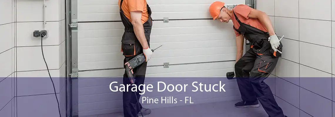 Garage Door Stuck Pine Hills - FL