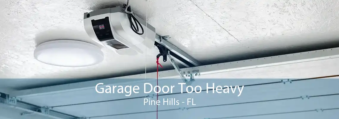 Garage Door Too Heavy Pine Hills - FL