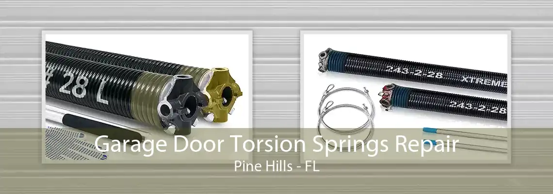 Garage Door Torsion Springs Repair Pine Hills - FL