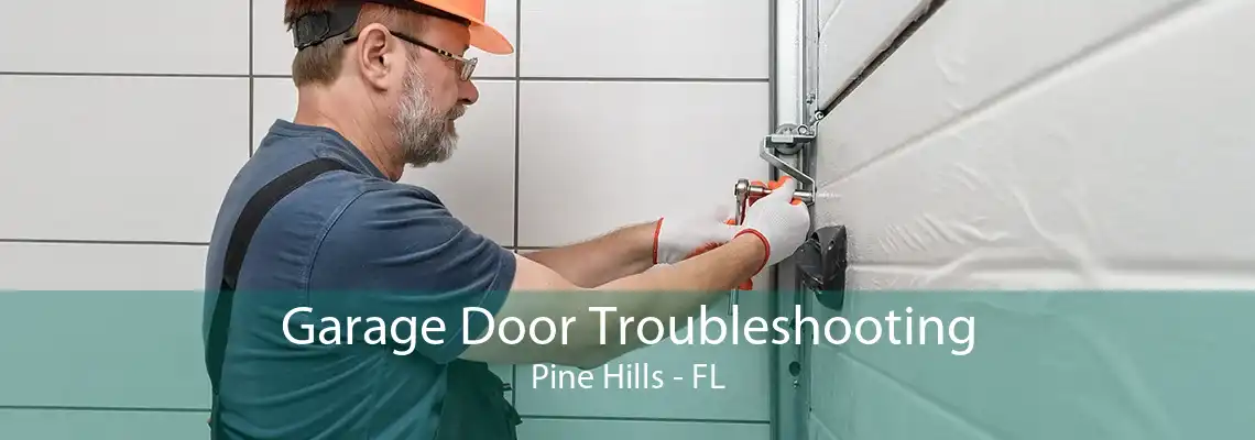 Garage Door Troubleshooting Pine Hills - FL