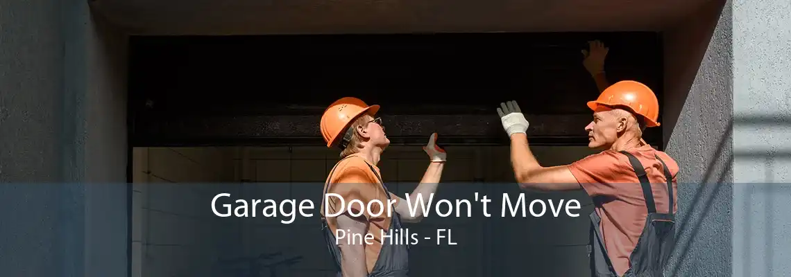 Garage Door Won't Move Pine Hills - FL