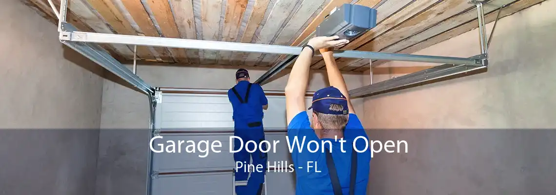 Garage Door Won't Open Pine Hills - FL