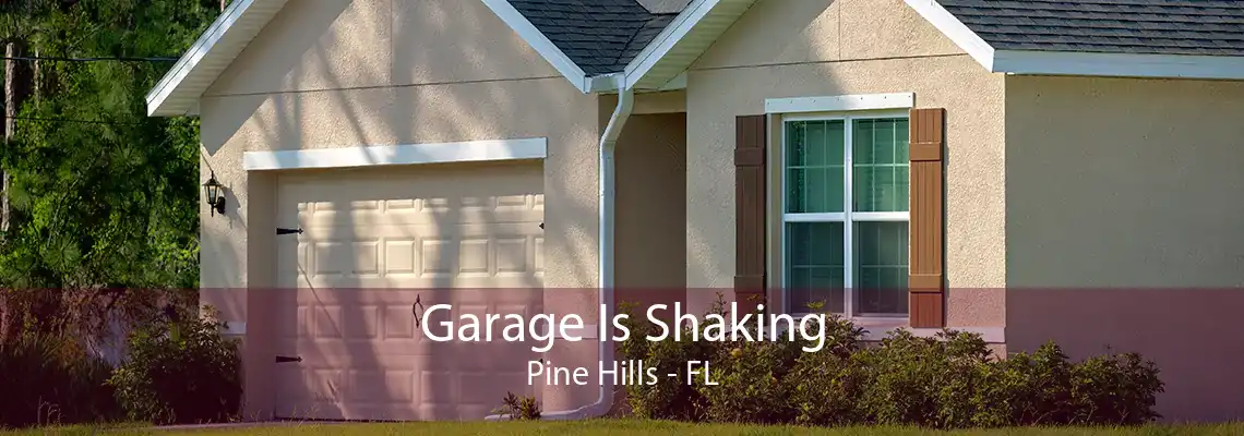 Garage Is Shaking Pine Hills - FL