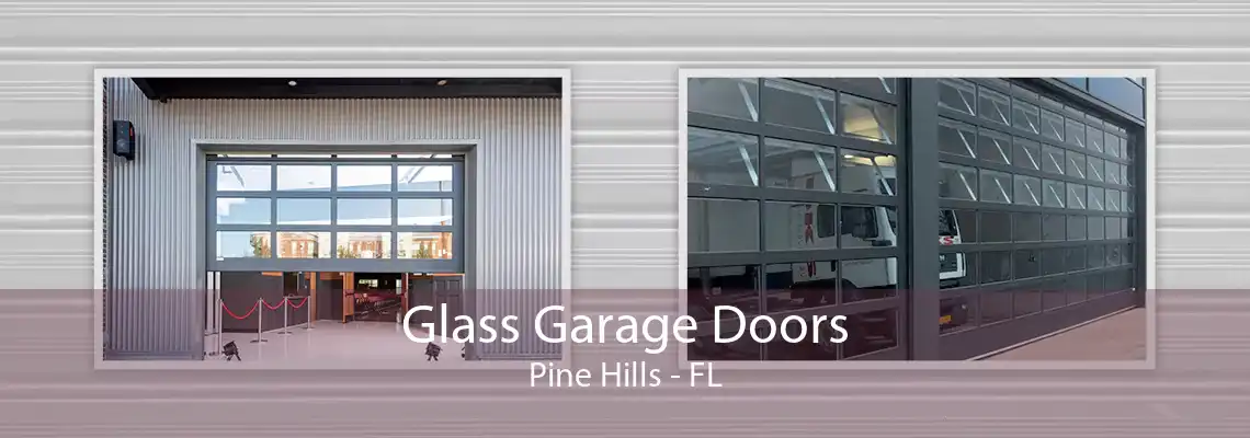 Glass Garage Doors Pine Hills - FL