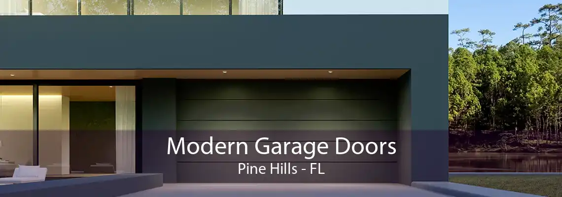 Modern Garage Doors Pine Hills - FL