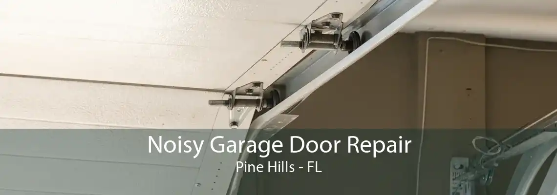 Noisy Garage Door Repair Pine Hills - FL