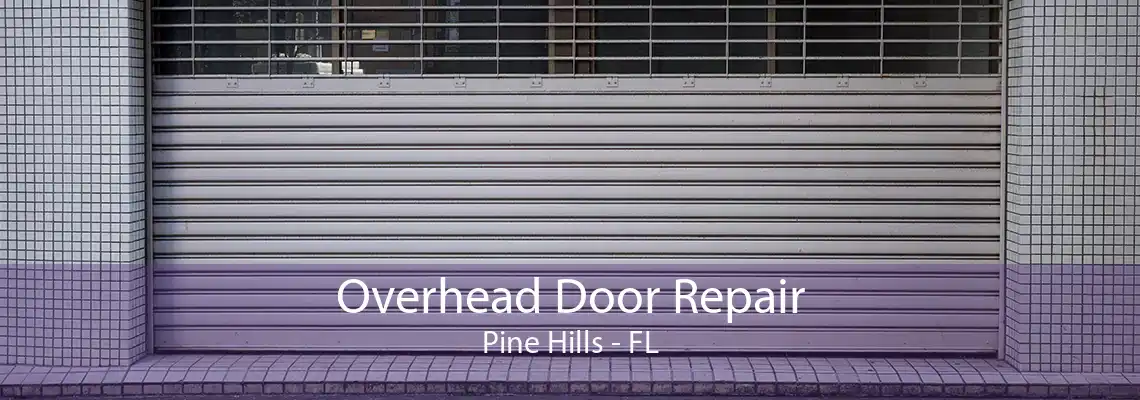 Overhead Door Repair Pine Hills - FL