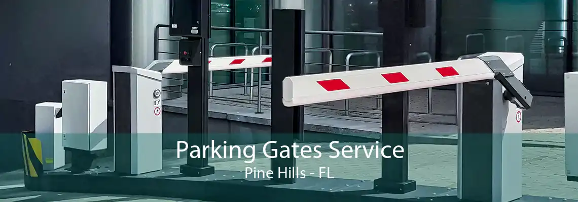 Parking Gates Service Pine Hills - FL