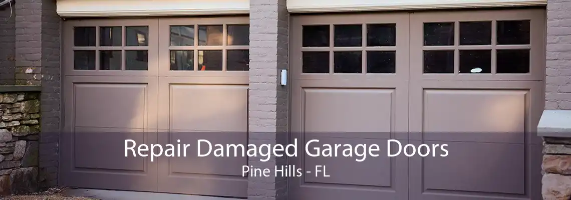 Repair Damaged Garage Doors Pine Hills - FL