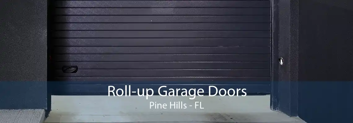 Roll-up Garage Doors Pine Hills - FL