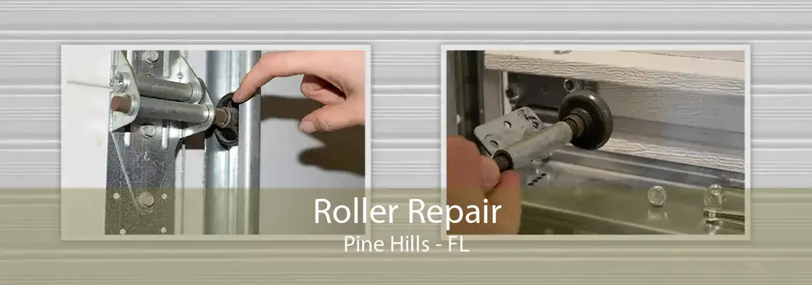 Roller Repair Pine Hills - FL