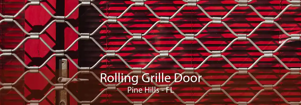 Rolling Grille Door Pine Hills - FL