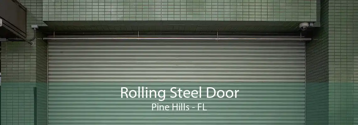 Rolling Steel Door Pine Hills - FL