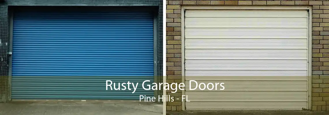 Rusty Garage Doors Pine Hills - FL