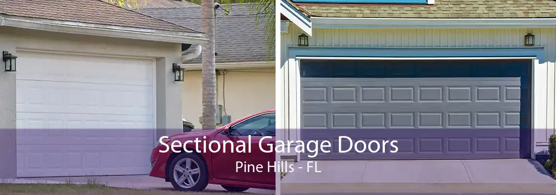 Sectional Garage Doors Pine Hills - FL